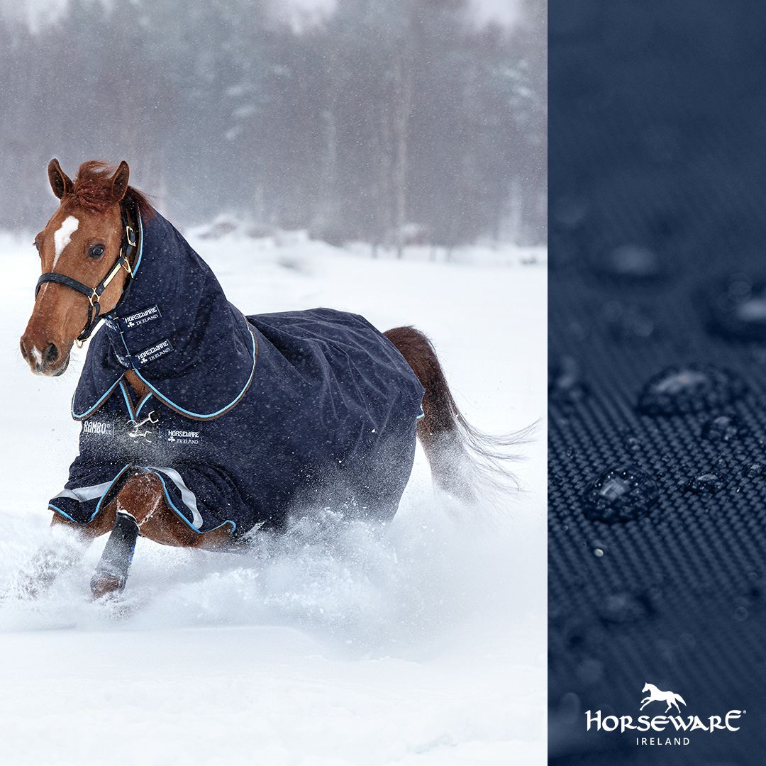 Horseware Rambo Duo Heavy Turnout Rug in Navy & Blue (100g Outer with 300g Liner)