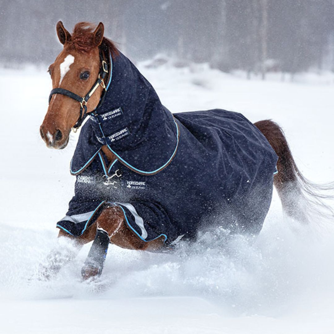 Horseware Rambo Duo Heavy Turnout Rug in Navy & Blue (100g Outer with 300g Liner)