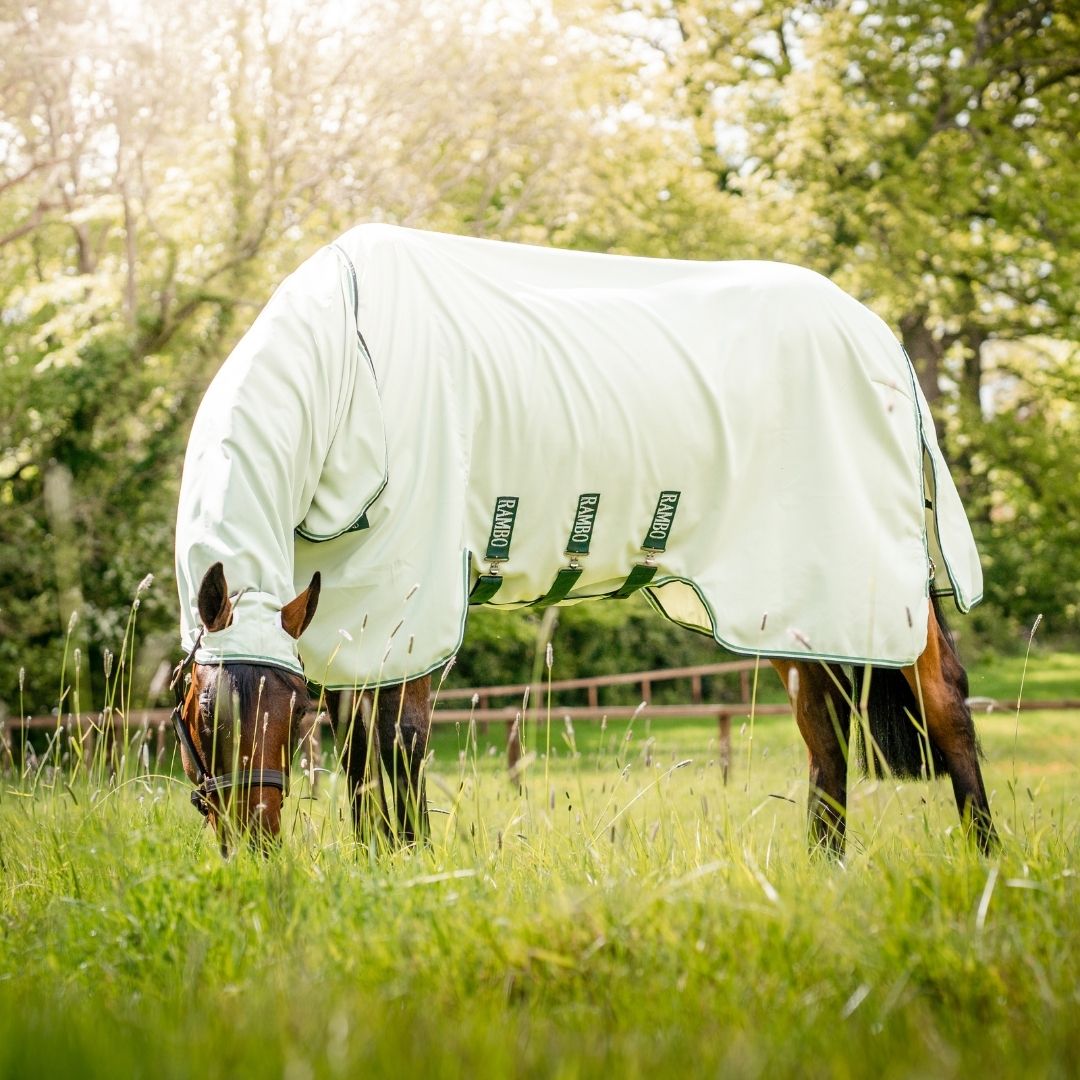 Horseware Rambo Hoody in Green / Sage, Beige & Green