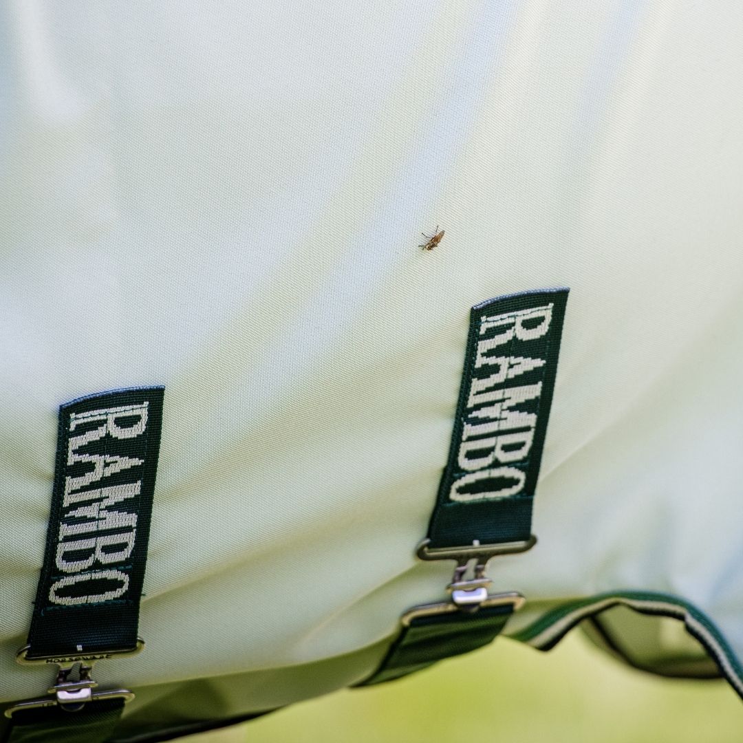 Horseware Rambo Hoody in Green / Sage, Beige & Green