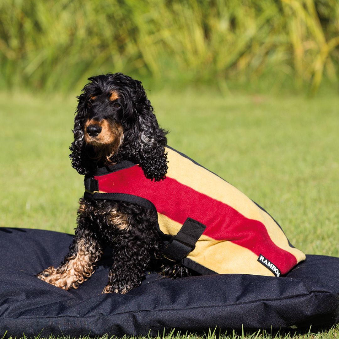 Horseware Rambo Deluxe Dog Rug in Whitney Stripe Gold