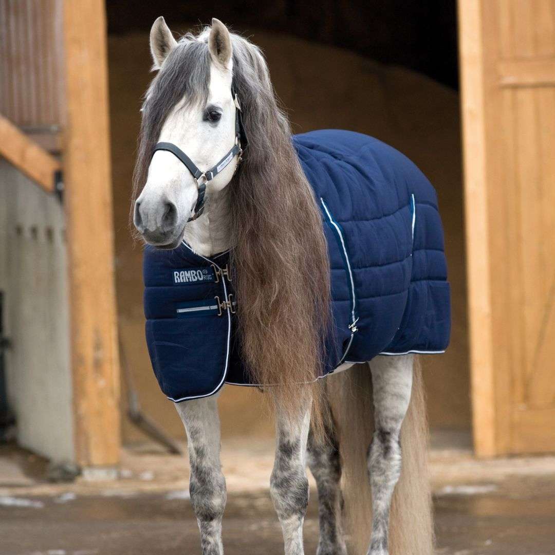 Horseware Rambo Stable Medium Rug in Navy & White (200g)