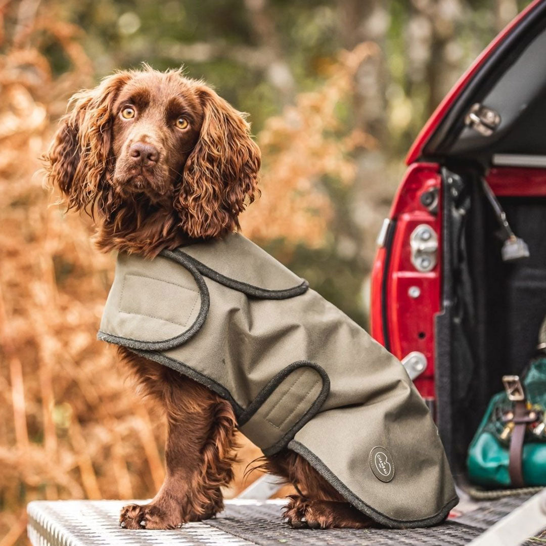 Barbour fleece cheap lined dog coat