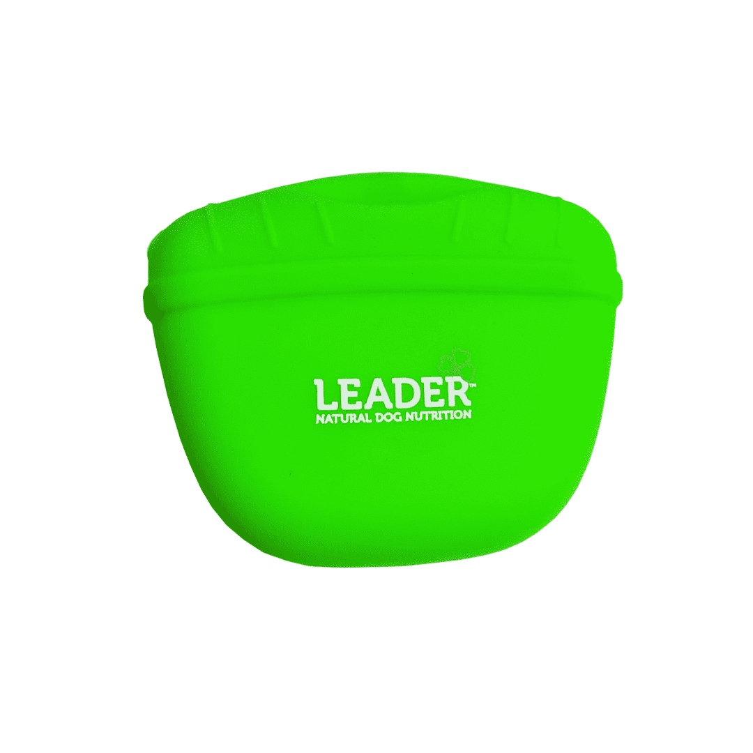 Leader Treat Pouch