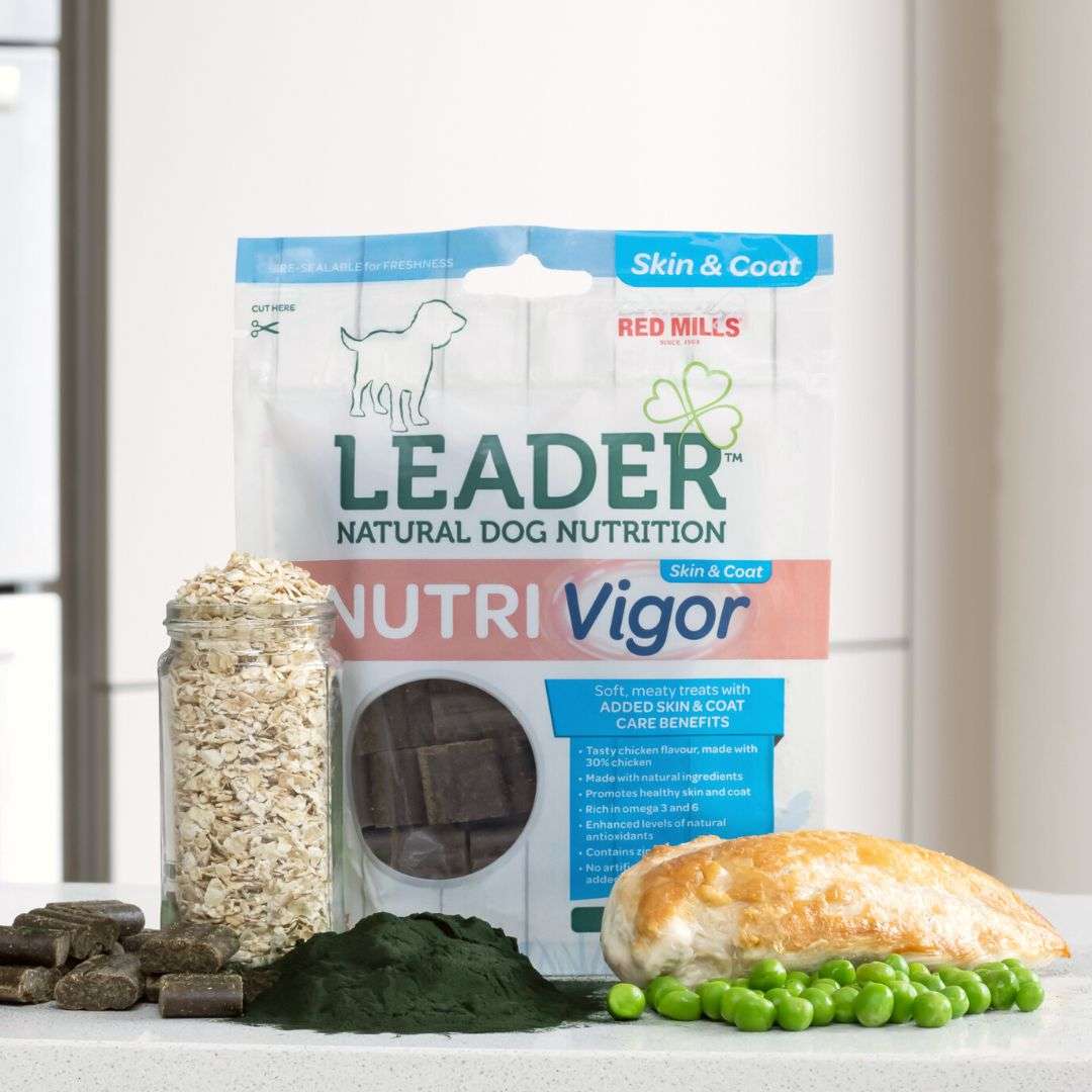 Leader Nutri Vigor Skin and Coat Care Dog Treats