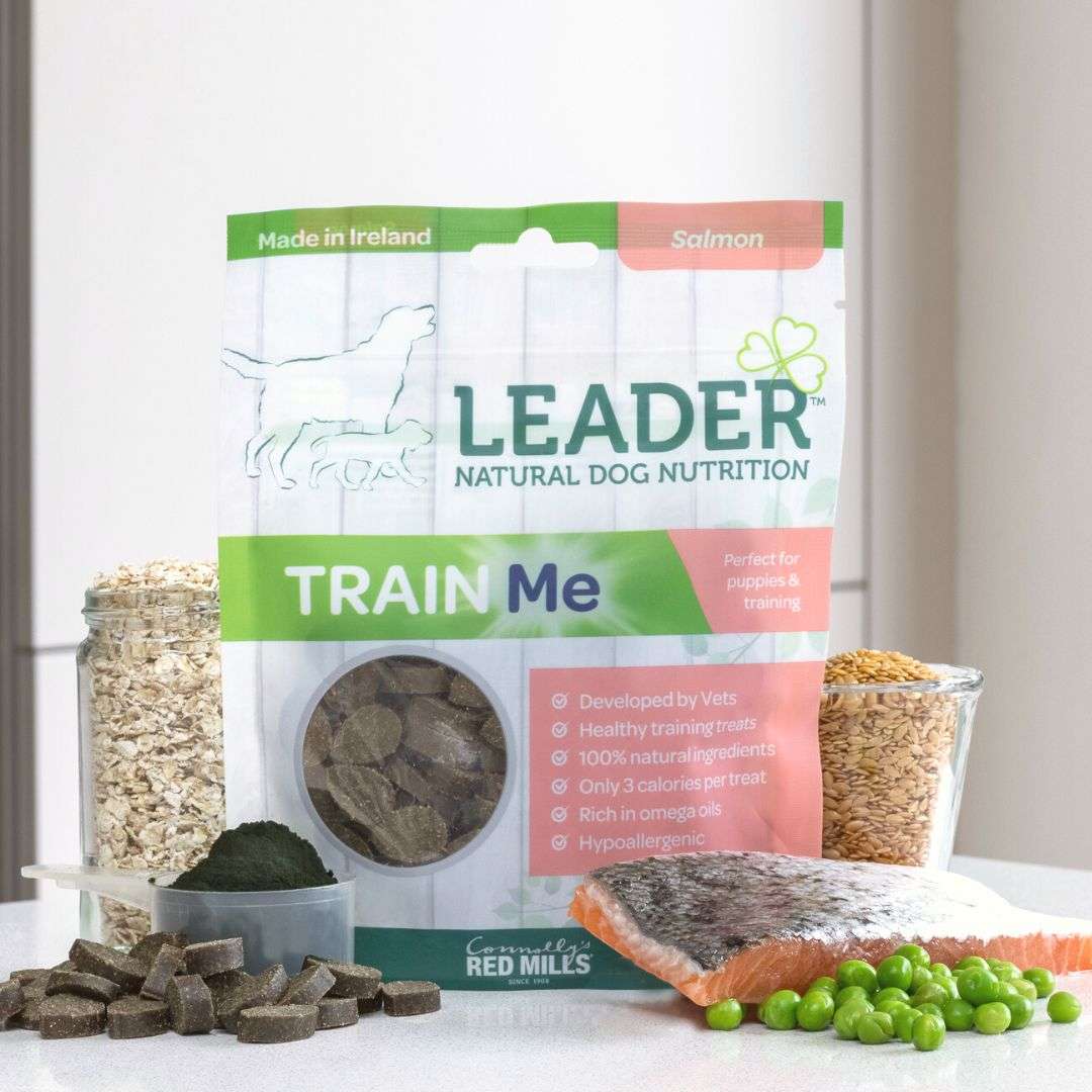 Leader Train Me Dog Treats in Salmon Flavour