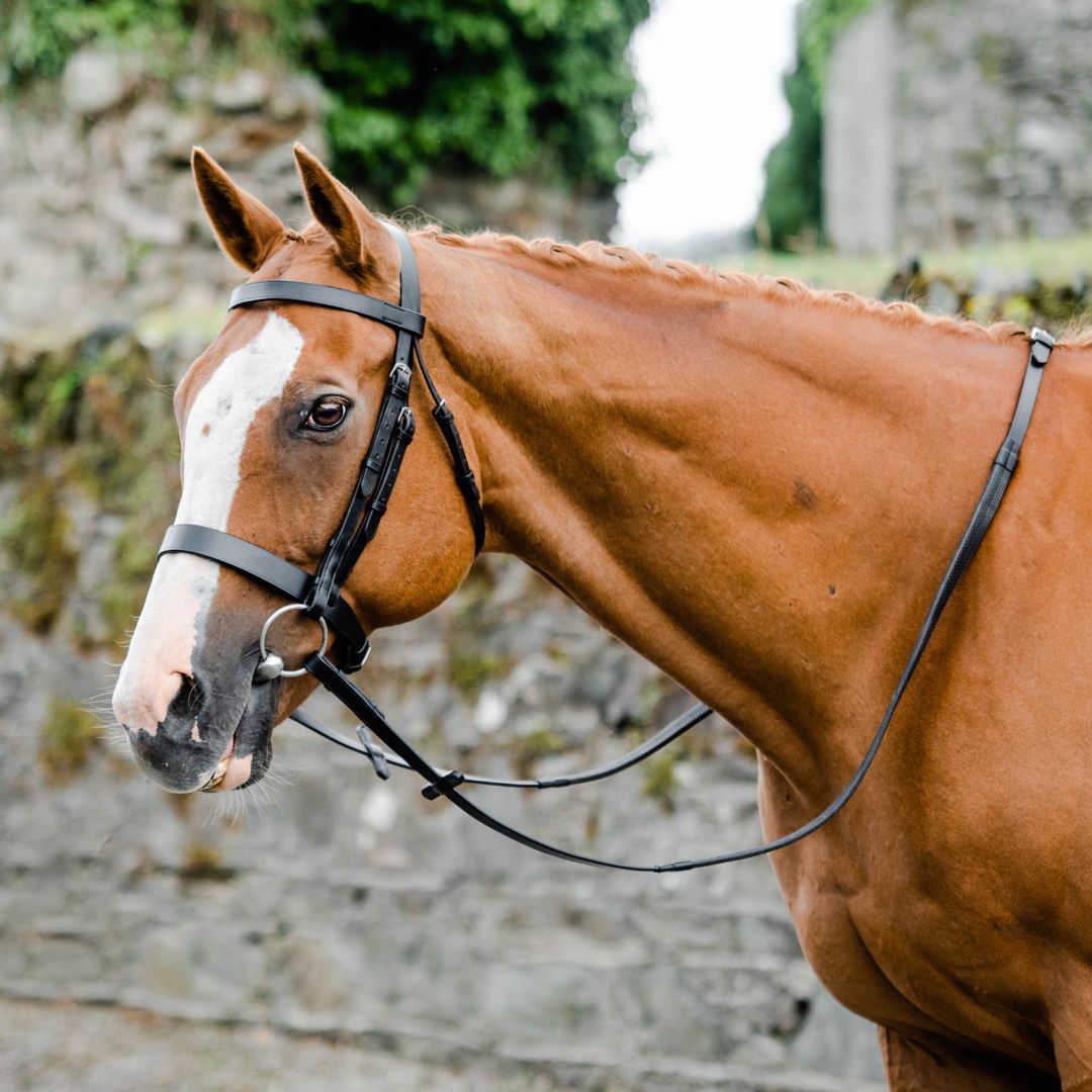 Mackey Classic Hunt Bridle and Reins in Black