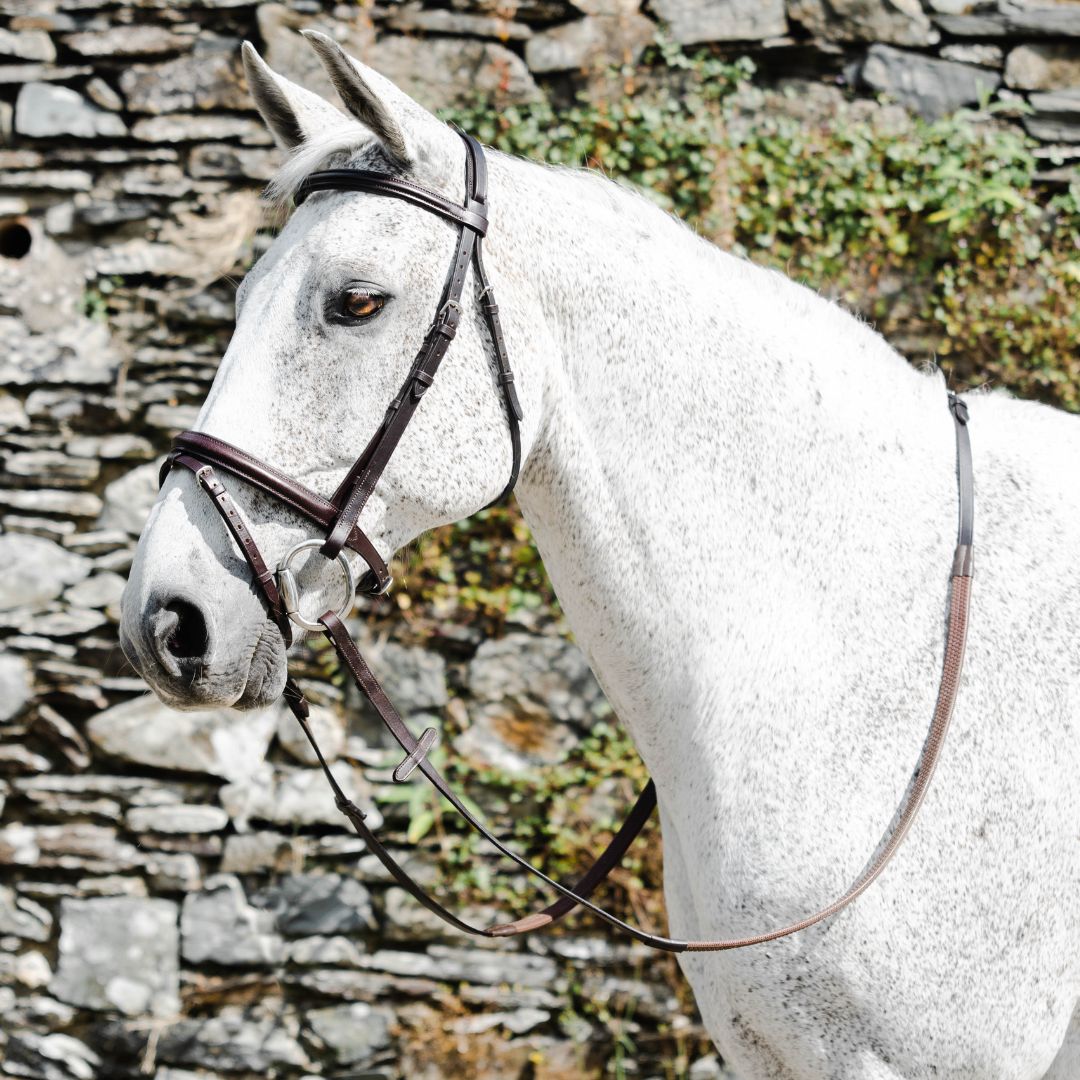 Mackey Classic Padded Flash Bridle in Brown