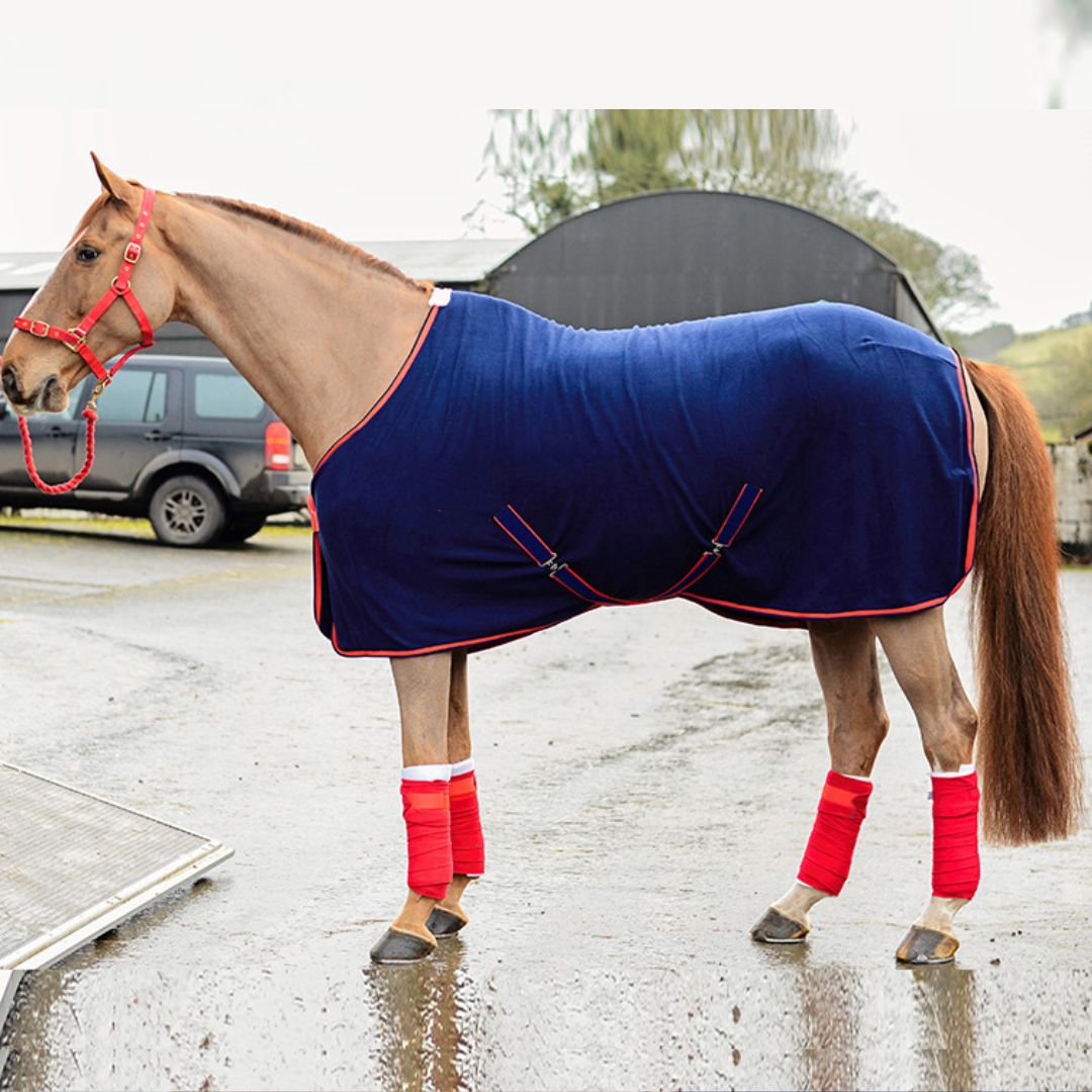 Equi-Sential Fleece Cooler in Navy & Red