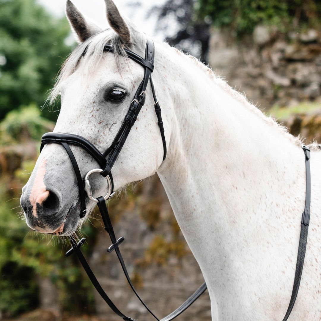 Mackey Legend Athena Bridle in Black