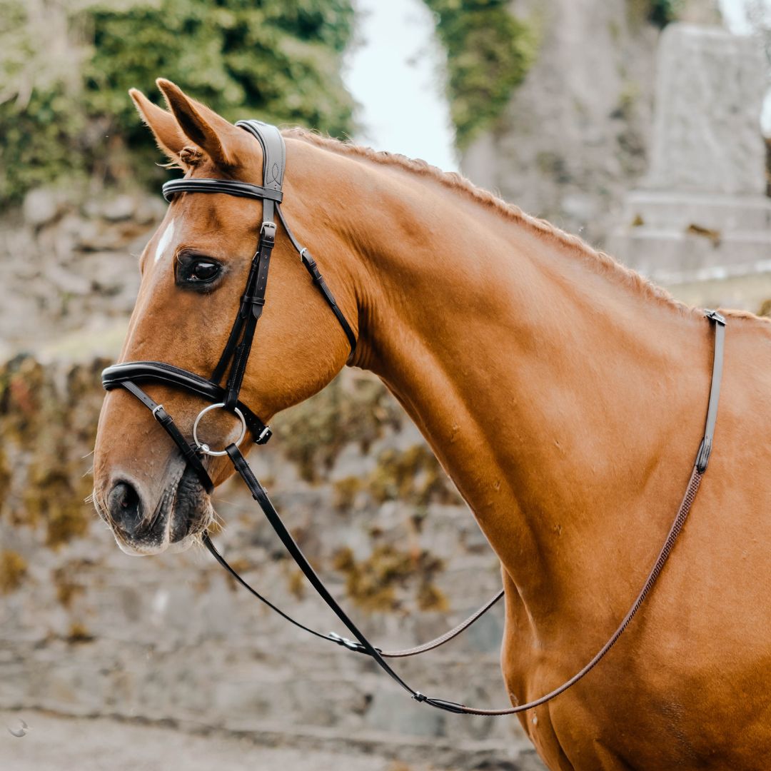 Mackey Legend Athena Bridle in Brown