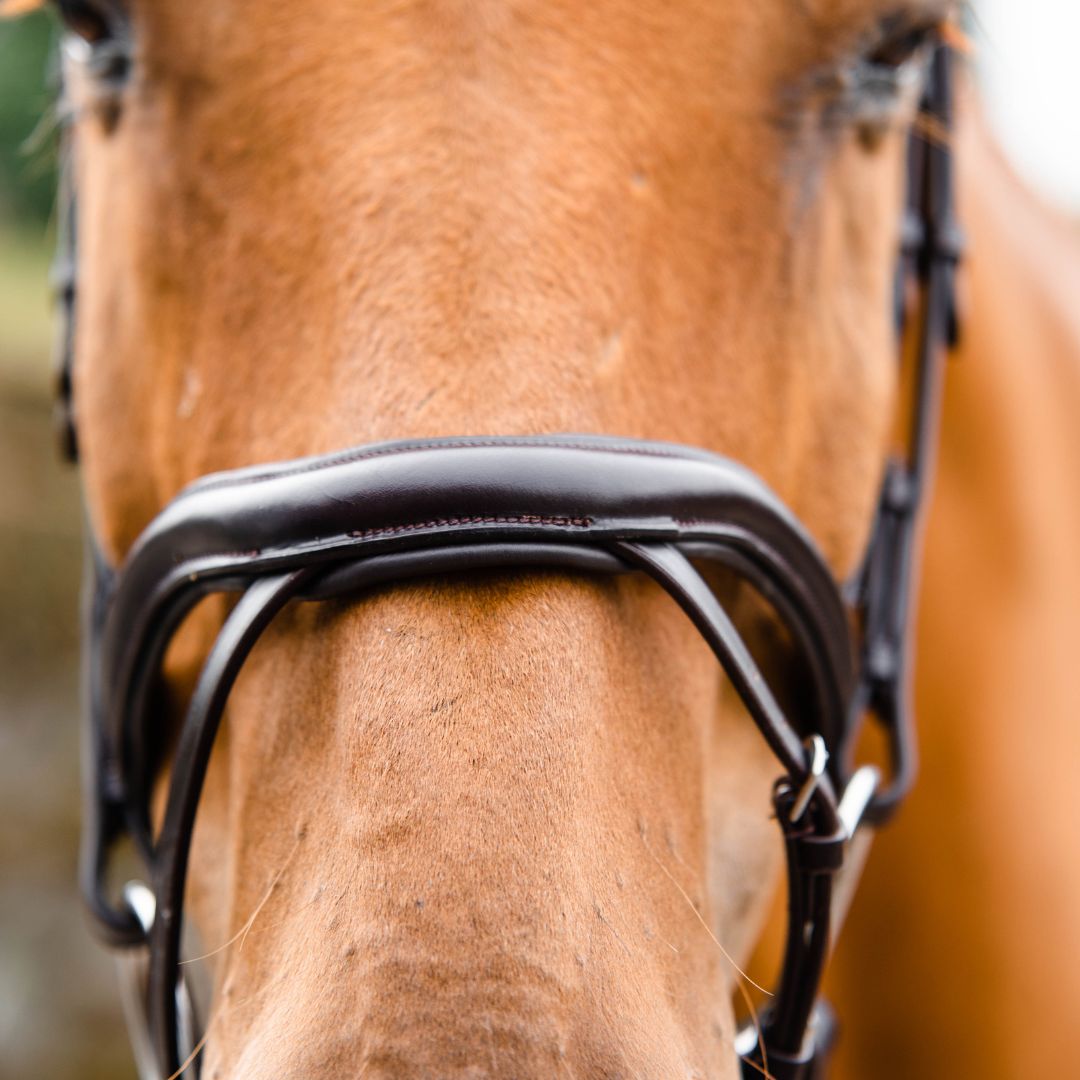 Mackey Legend Athena Bridle in Black
