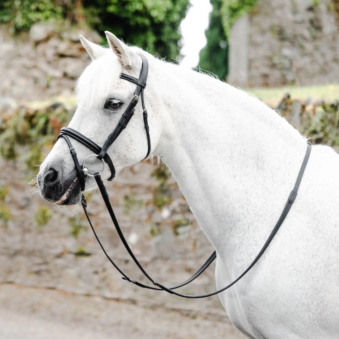 Mackey Legend Flash Bridle in Black