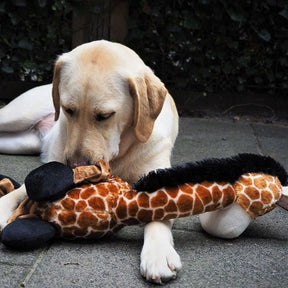 Nobby Giraffe Elastic Plush Dog Toy