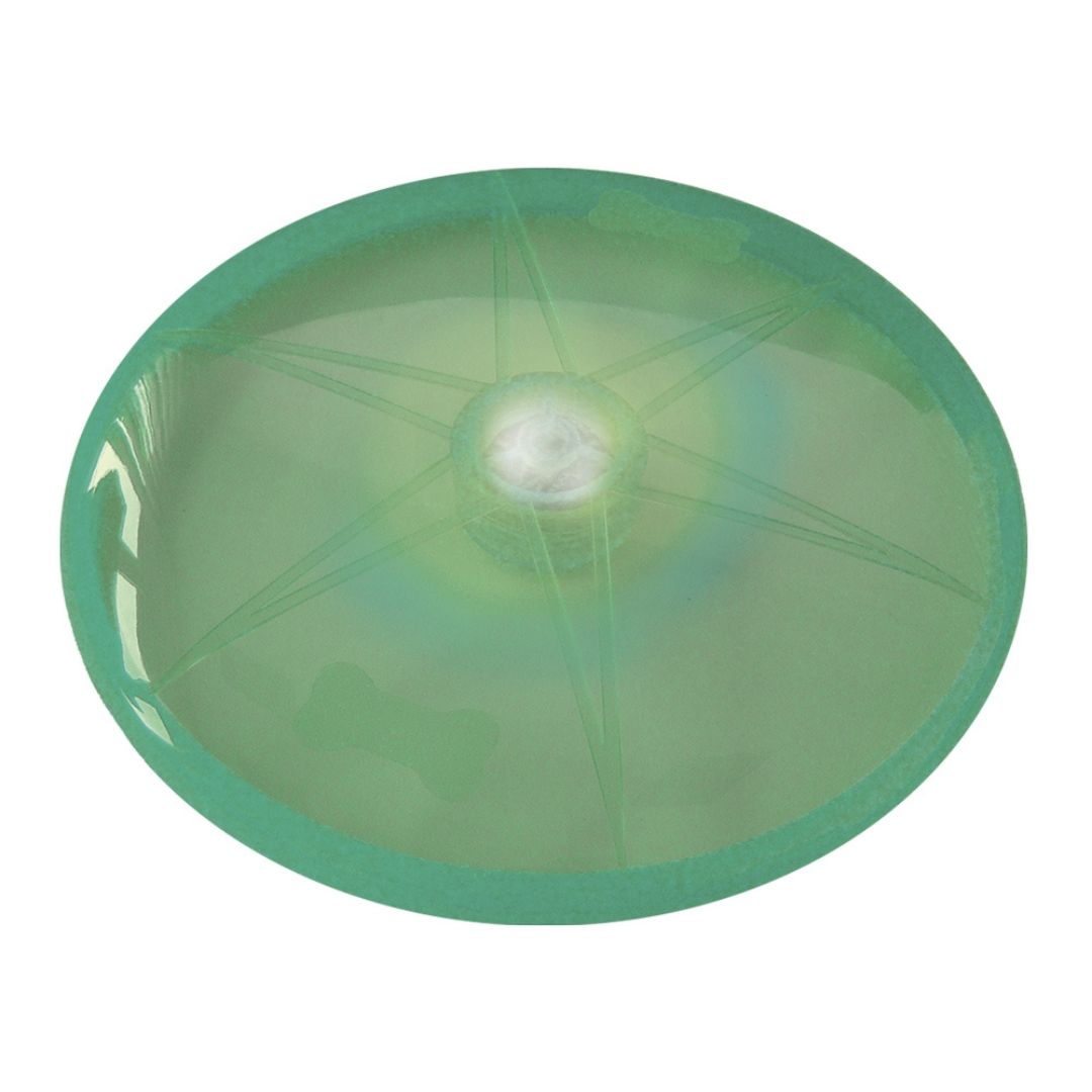 Nobby Flash LED Disc Dog Toy in Green