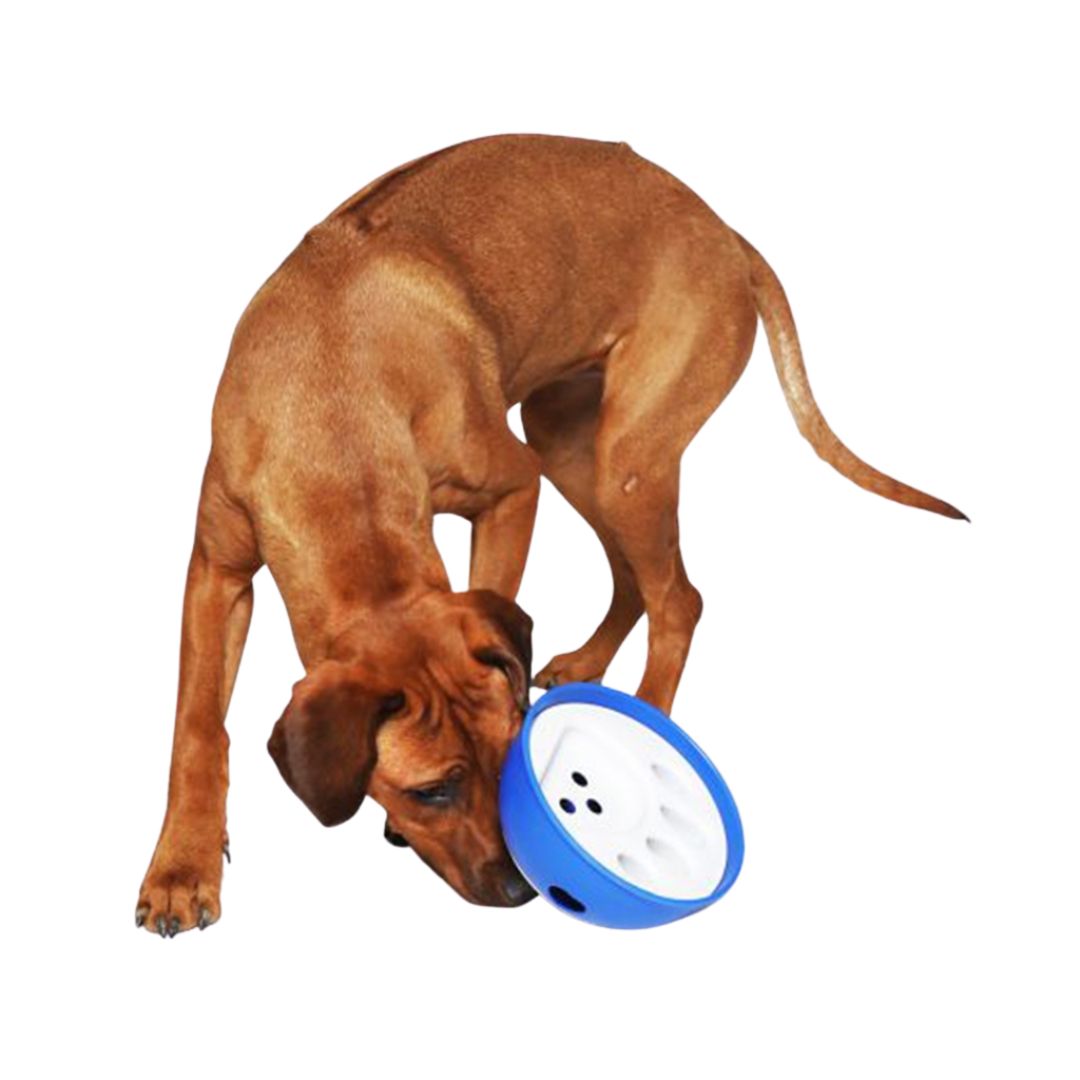 Nobby Kick 'n Feed Food Bowl in Blue