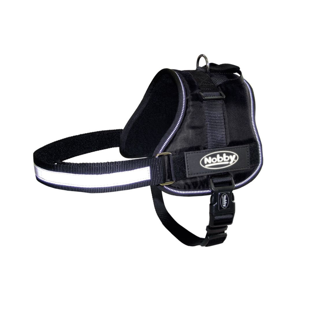 Nobby dog hot sale leads