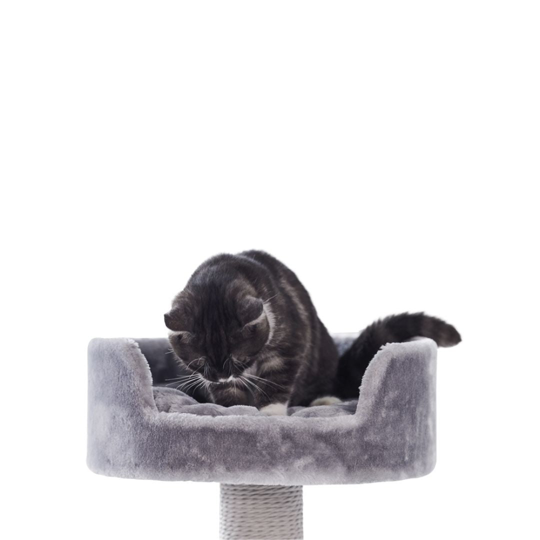 Nobby Zera Cat Scratching Tree in Grey