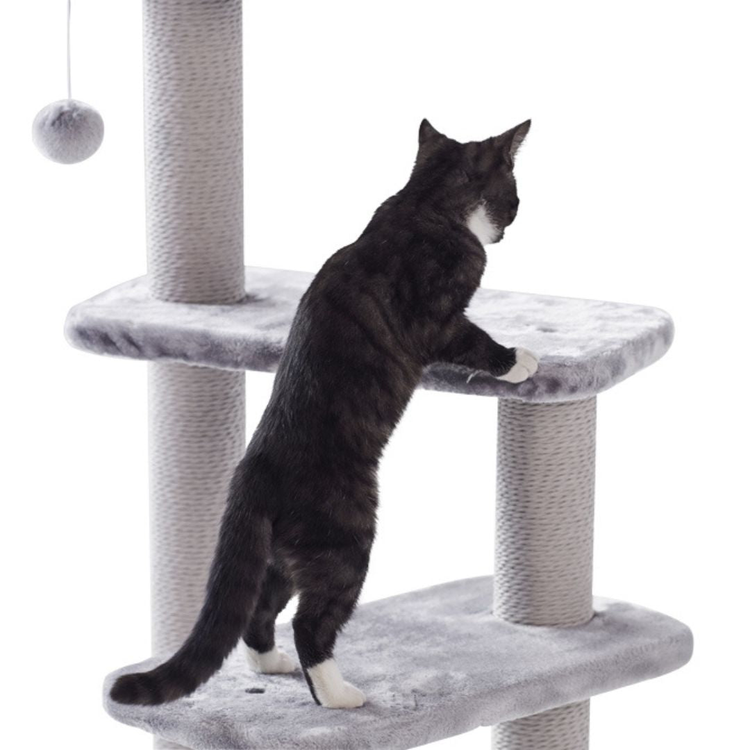 Nobby Zera Cat Scratching Tree in Grey