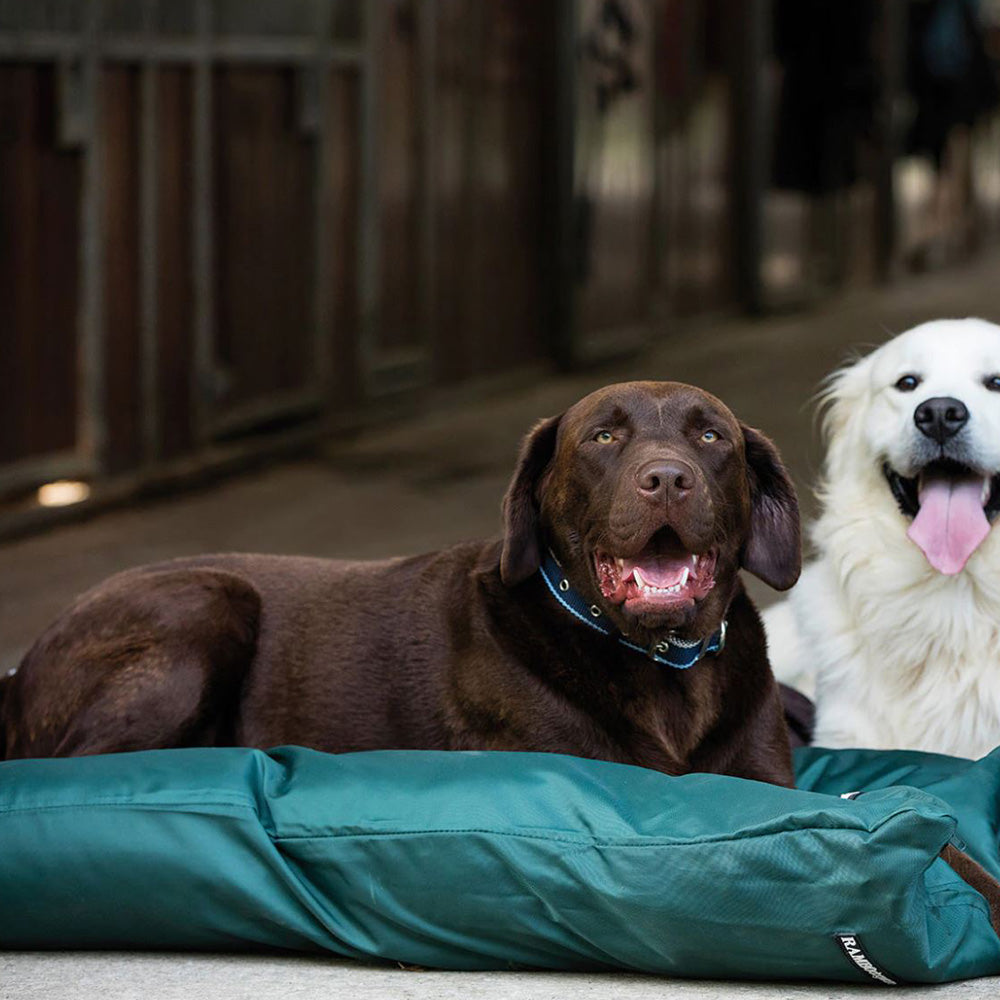 Horseware Rambo Pillow Dog Bed in Green