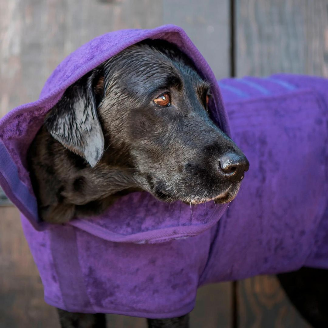 Ruff and Tumble Dog Drying Coat in Heather - Main Image