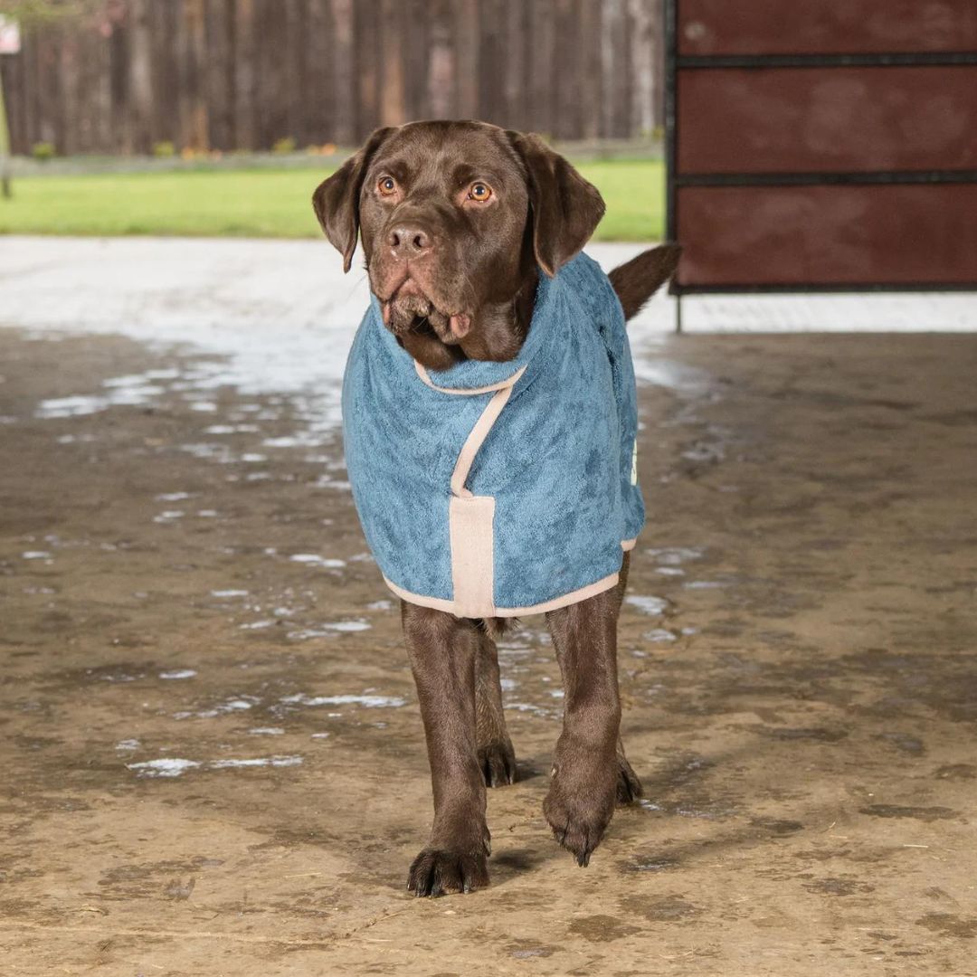 Ruff and Tumble Dog Drying Coat in Sandringham Blue