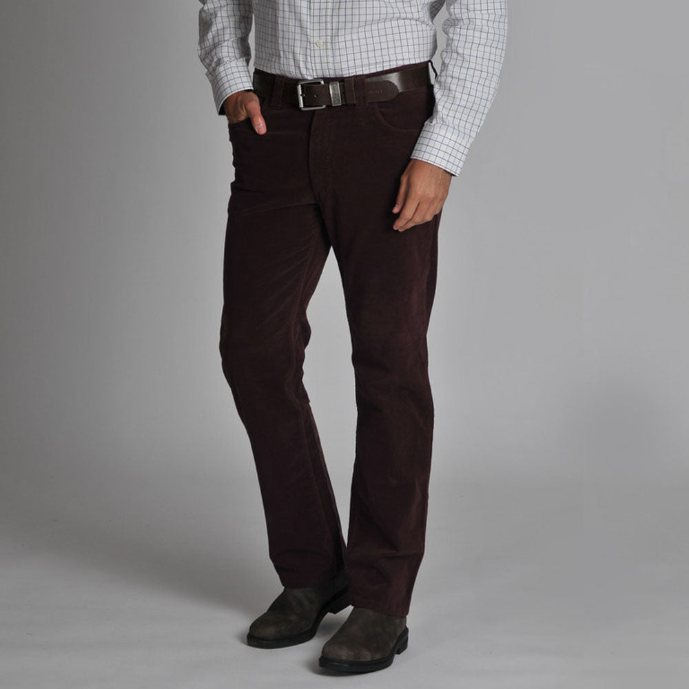 Schoffel Men's Canterbury Cord Jean in Mulberry