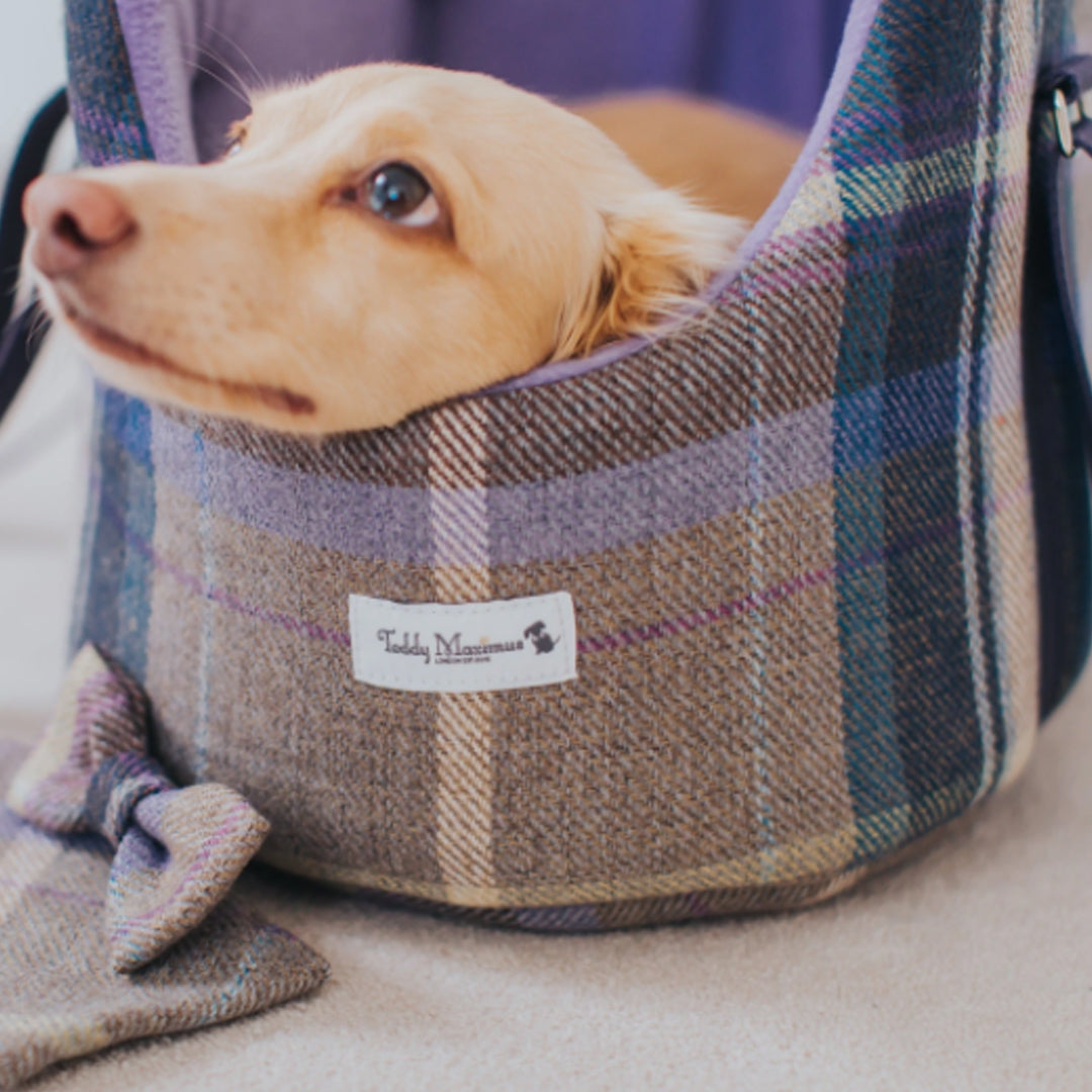 Teddy Maximus Cambridge Adjustable Dog Carrier in Purple Plaid