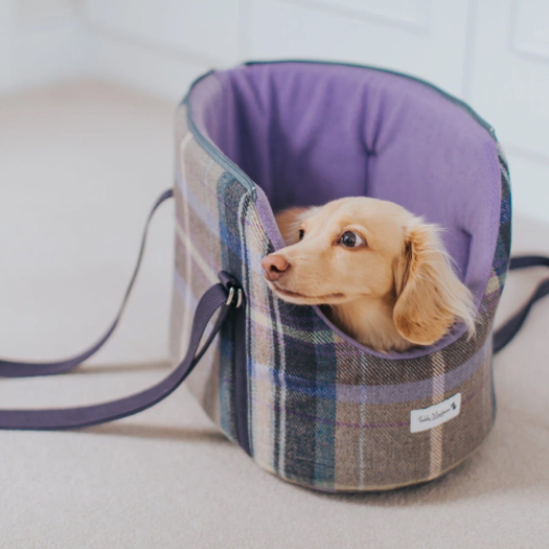 Teddy Maximus Cambridge Adjustable Dog Carrier in Purple Plaid