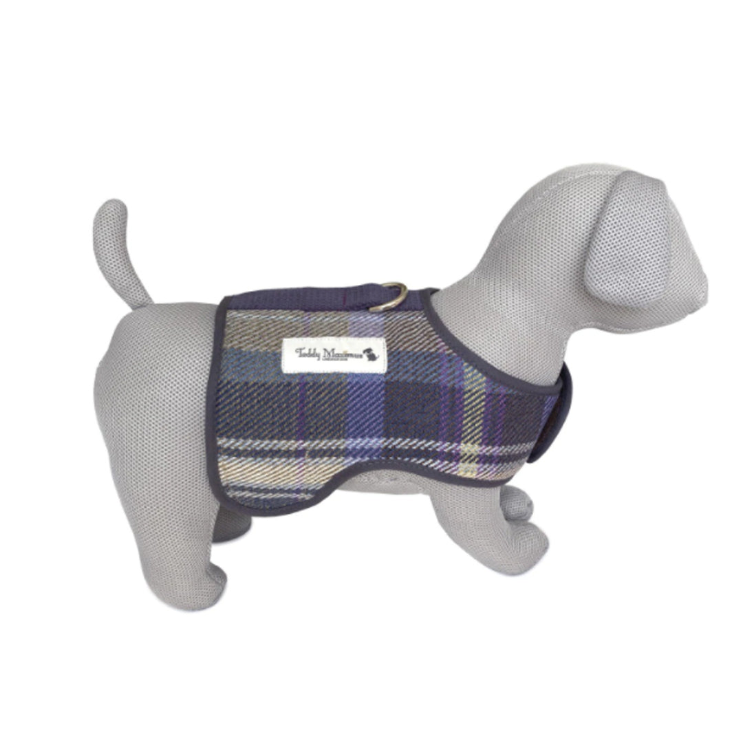 Teddy Maximus Cambridge Dog Harness in Purple Plaid