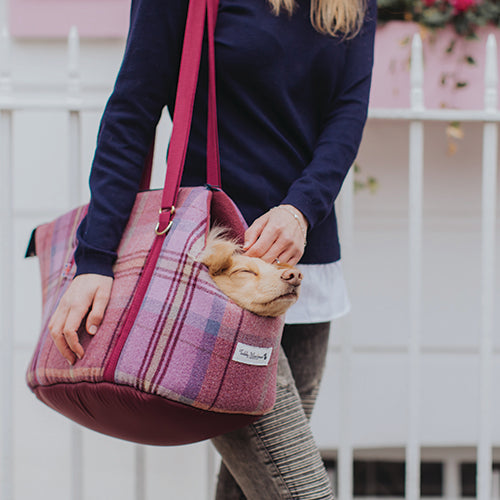 Teddy Maximus Shetland Adjustable Dog Carrier in Pink Plaid