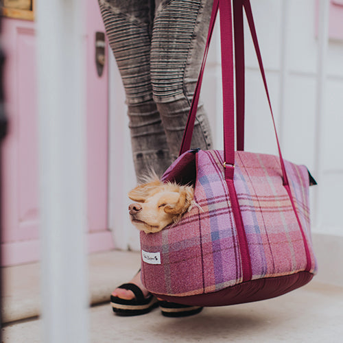 Teddy Maximus Shetland Adjustable Dog Carrier in Pink Plaid