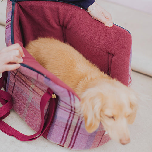 Teddy Maximus Shetland Adjustable Dog Carrier in Pink Plaid