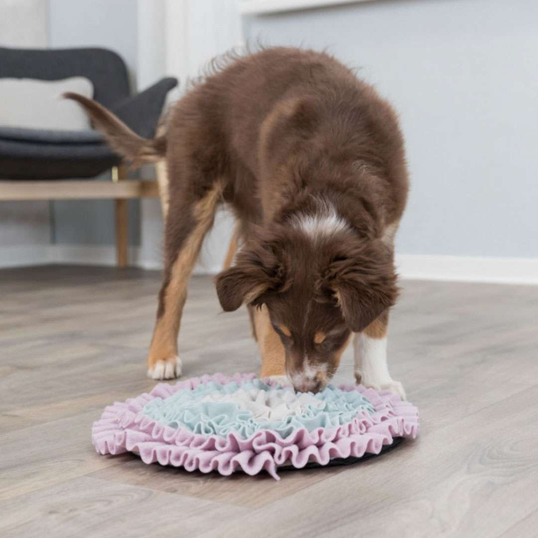 Trixie Puppy Sniffing Mat