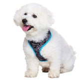 Urba Pup Dog Harness in Black & Blue Paisley