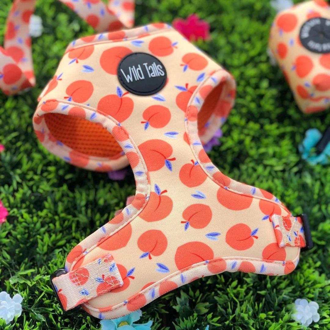 Wild Tails Georgia Dog Harness