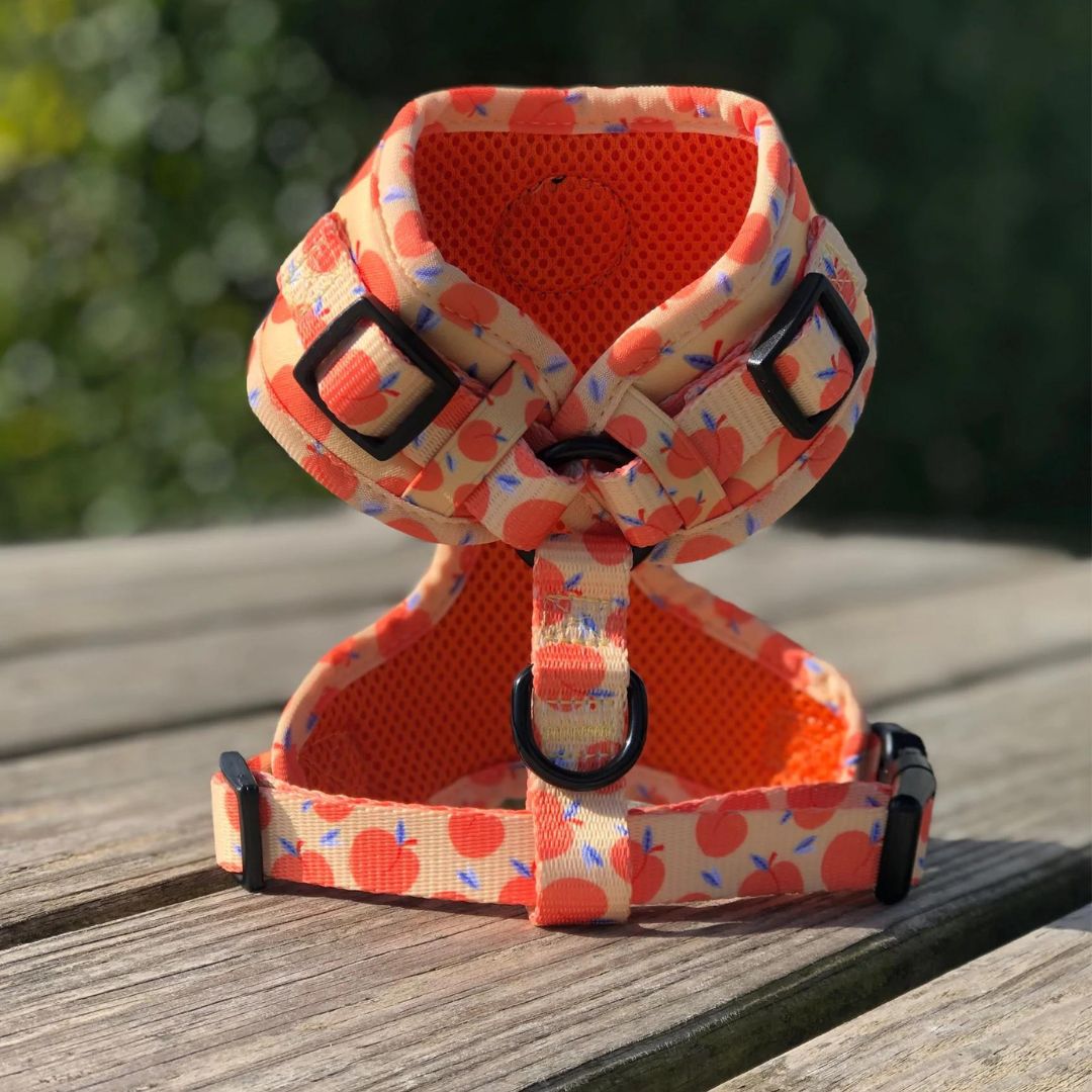 Wild Tails Georgia Dog Harness