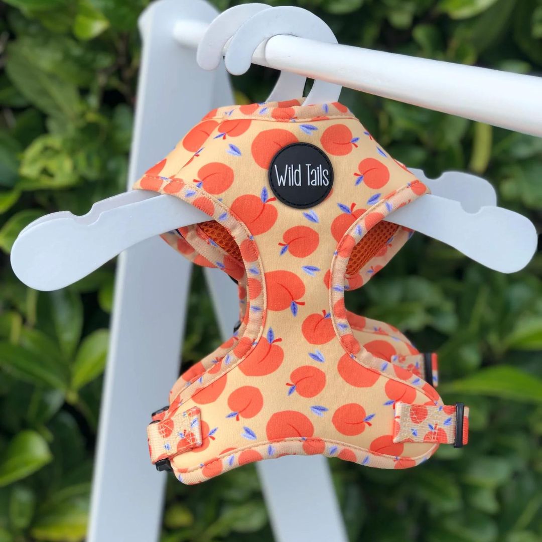 Wild Tails Georgia Dog Harness