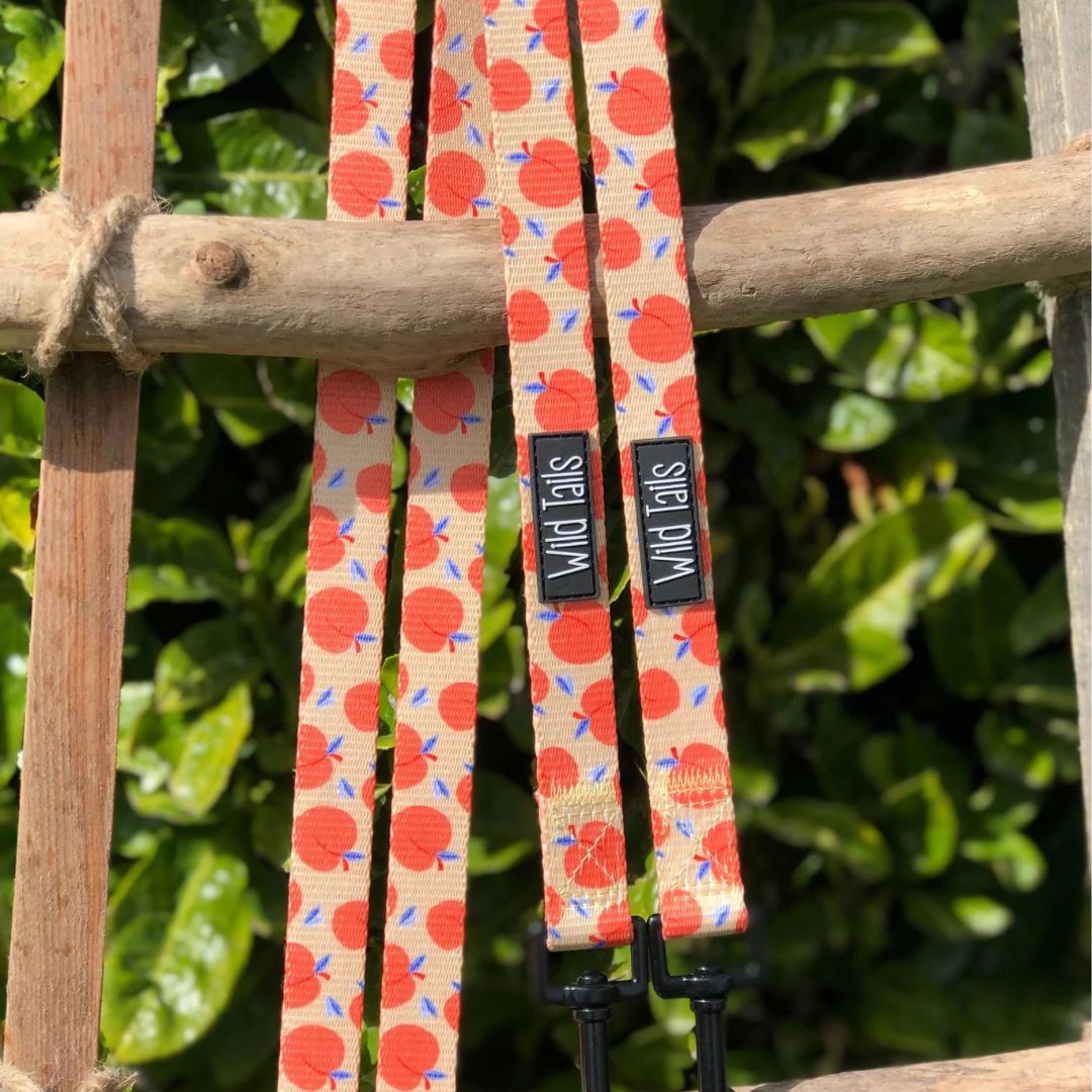 Wild Tails Georgia Dog Lead