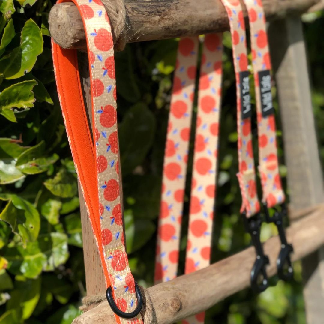 Wild Tails Georgia Dog Lead