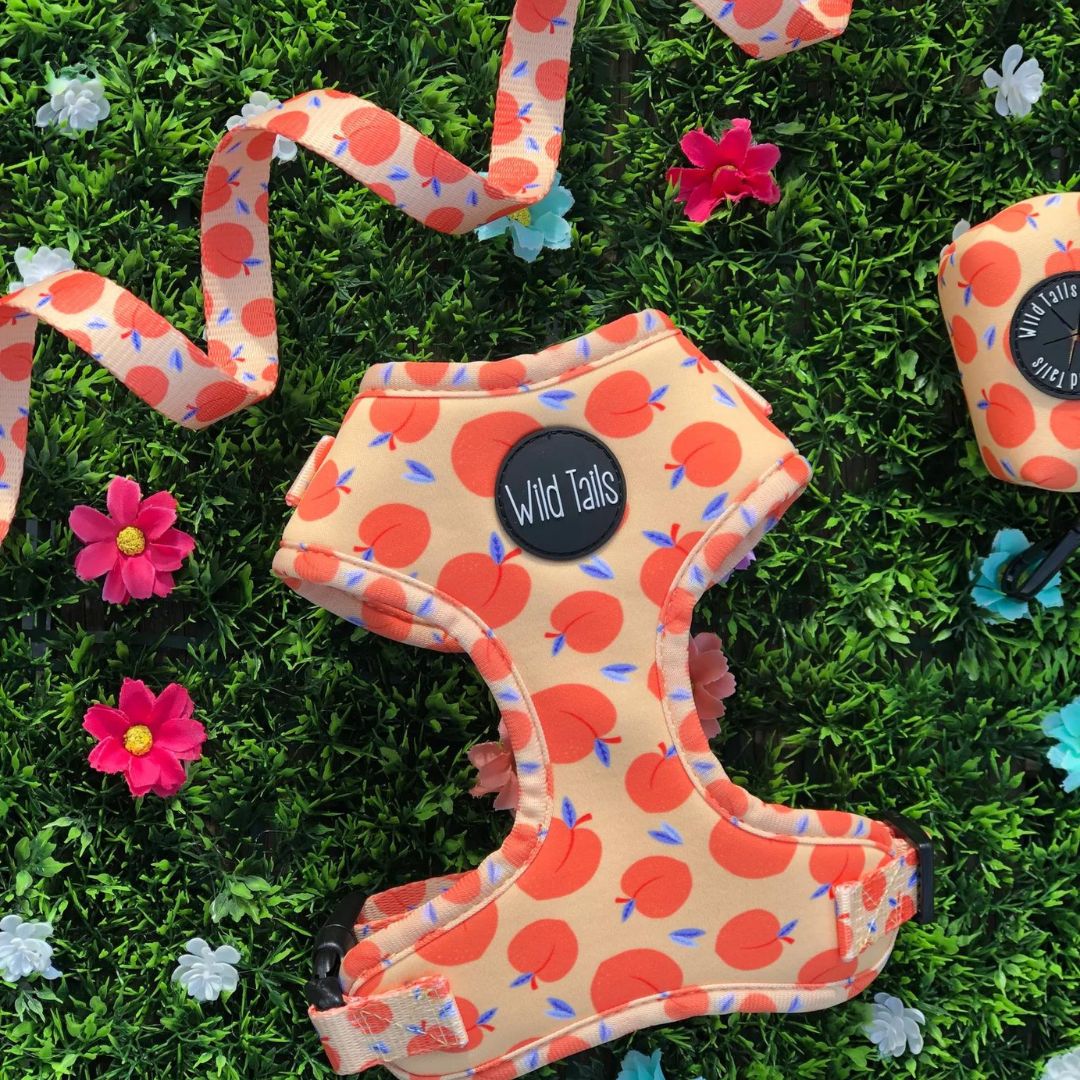 Wild Tails Georgia Dog Lead