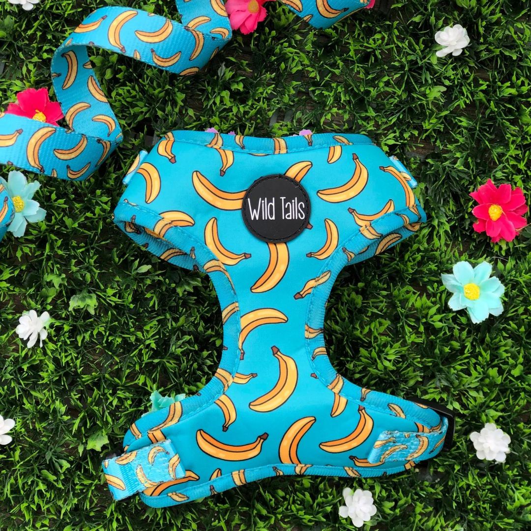 Wild Tails Go Bananas Dog Harness