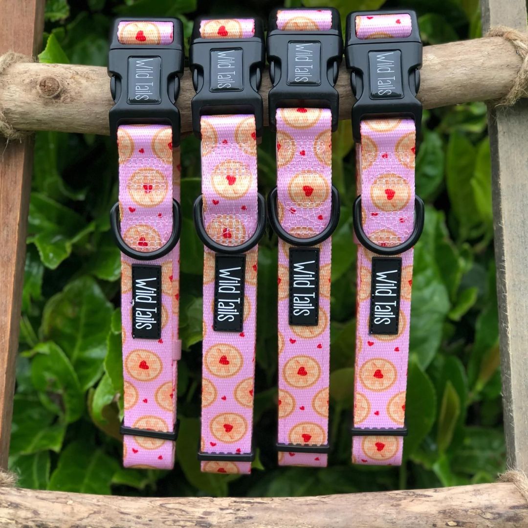Wild Tails I Don't Give a Jam Dog Collar