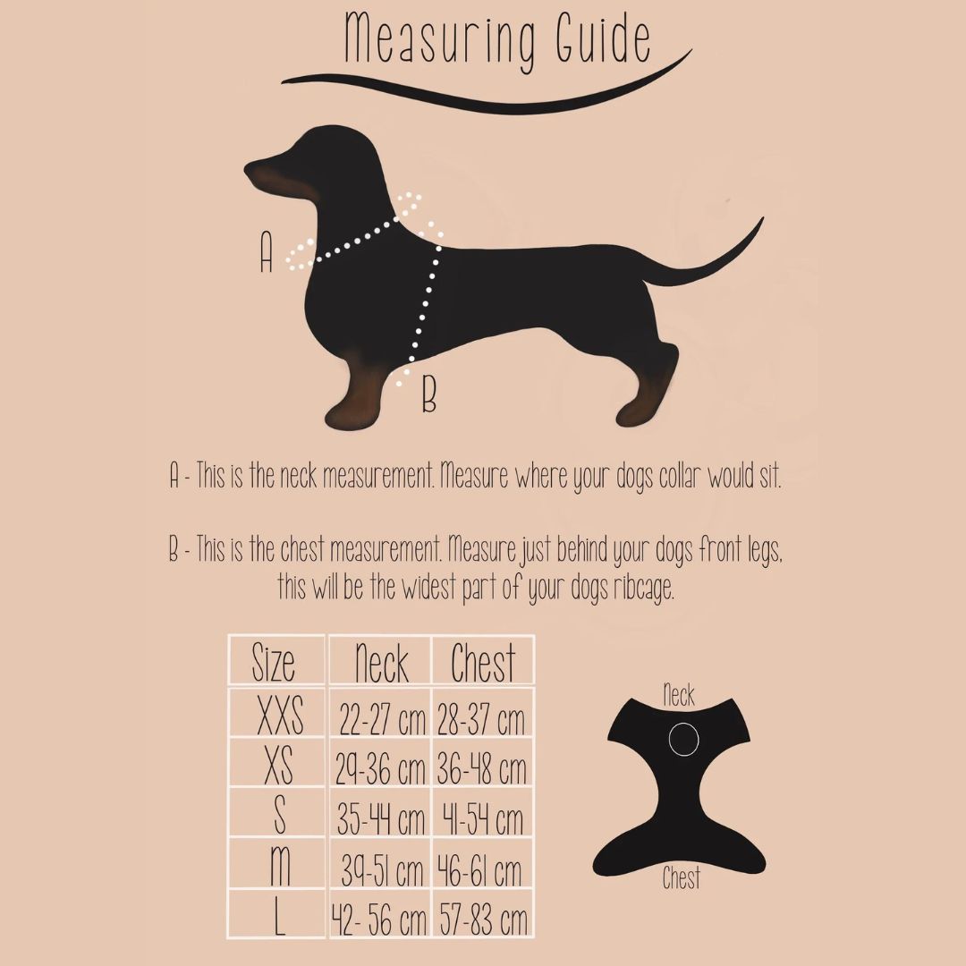 Wild Tails I Don't Give a Jam Dog Harness