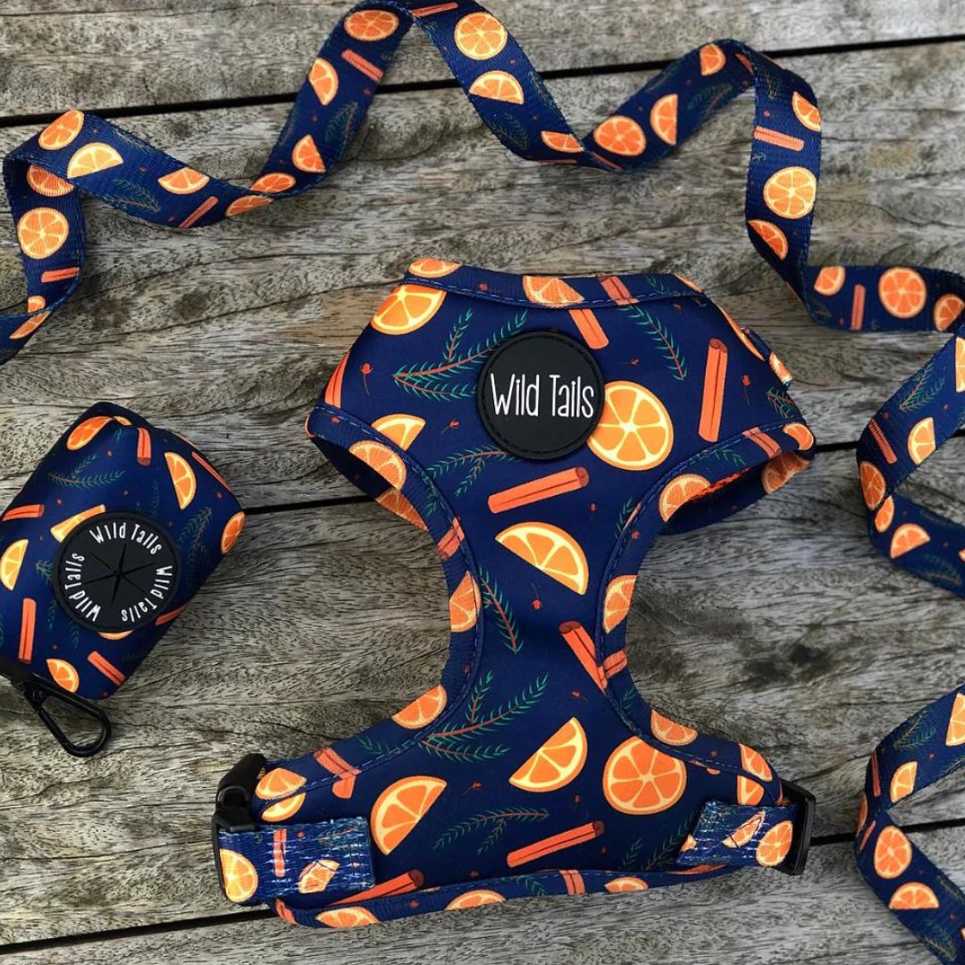 Wild Tails Say You'll be Wine Dog Harness