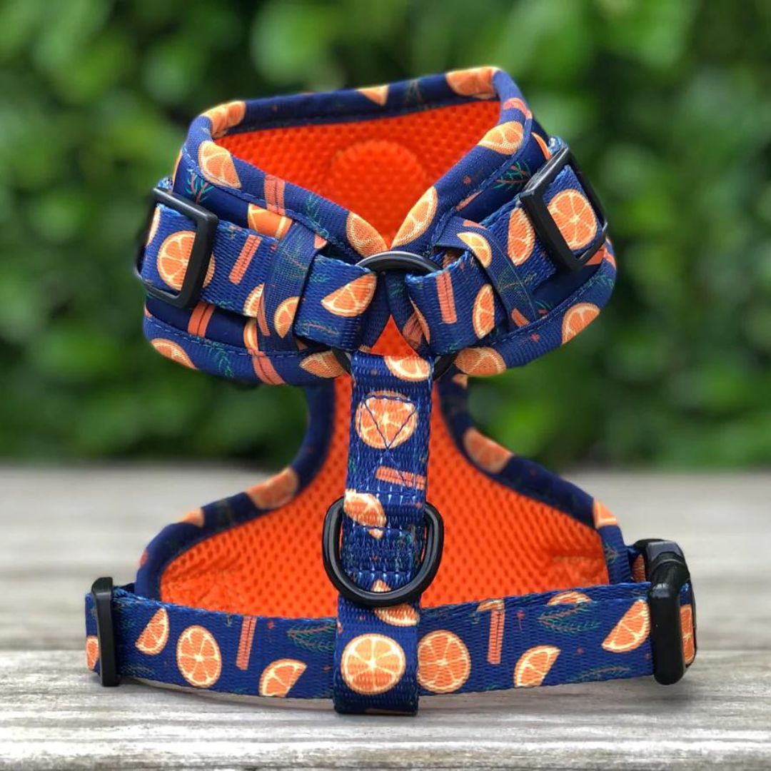 Wild Tails Say You'll be Wine Dog Harness