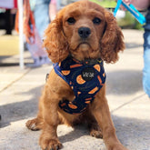 Wild Tails Say You'll be Wine Dog Harness