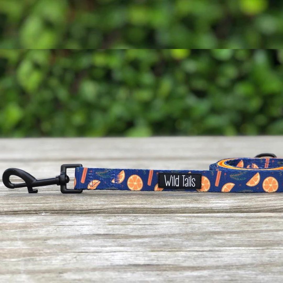 Wild Tails Say You'll be Wine Dog Lead