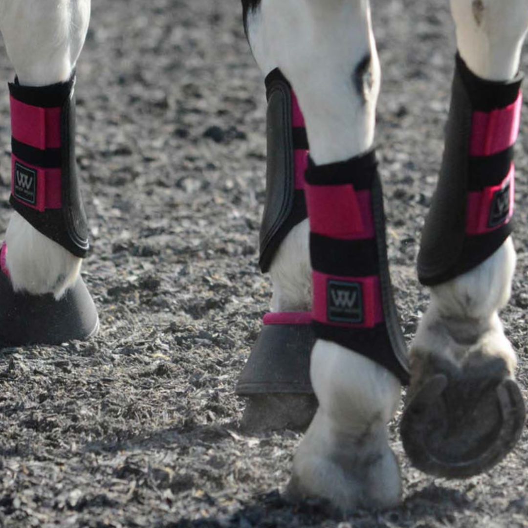 Woof Wear Club Brushing Boot in Berry