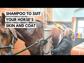 Carr & Day & Martin Gallop Colour Enhancing Shampoo for Black Horses